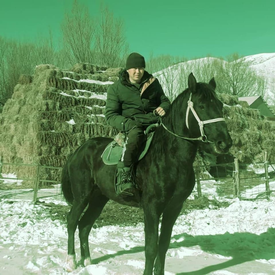 People, Winter, Horse-riding, Animals