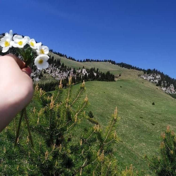 Spring, Natural landscape