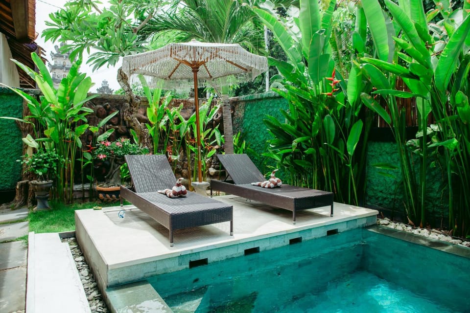 Garden, Garden view, Swimming pool