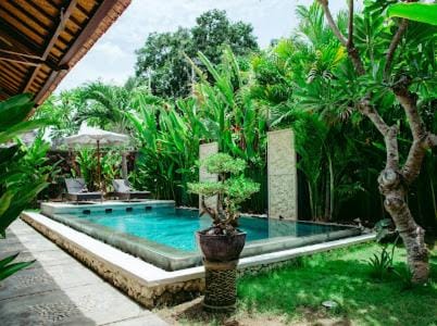 Garden view