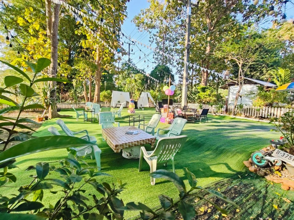 Spring, Day, Natural landscape, Garden, Garden view, sunbed