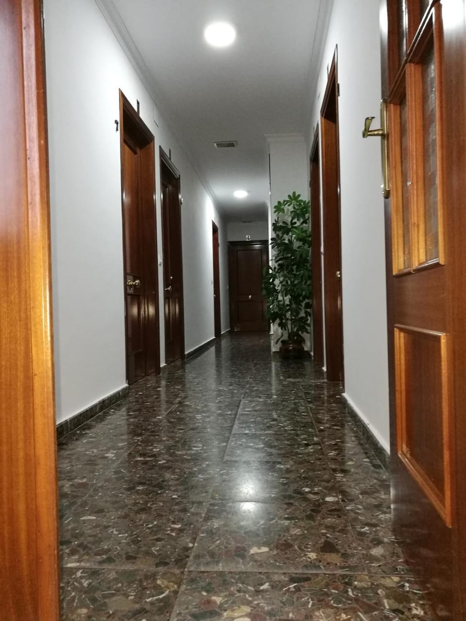 Hostal Paquito Hostel in La Janda