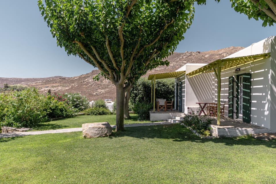 Spring, Day, Natural landscape, Garden, Garden view, Mountain view