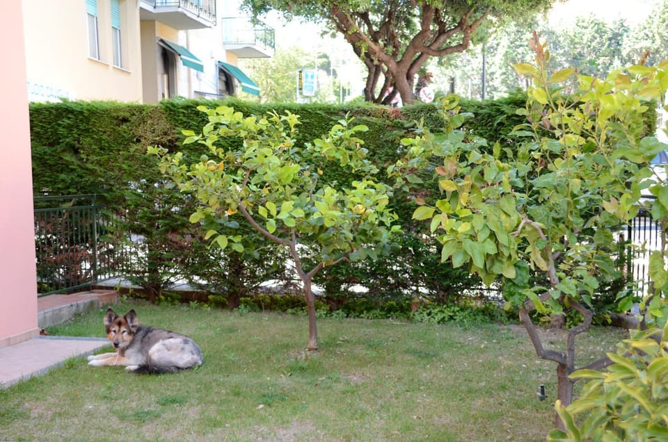 Appartamenti La Residenza Apartment in Borgio Verezzi