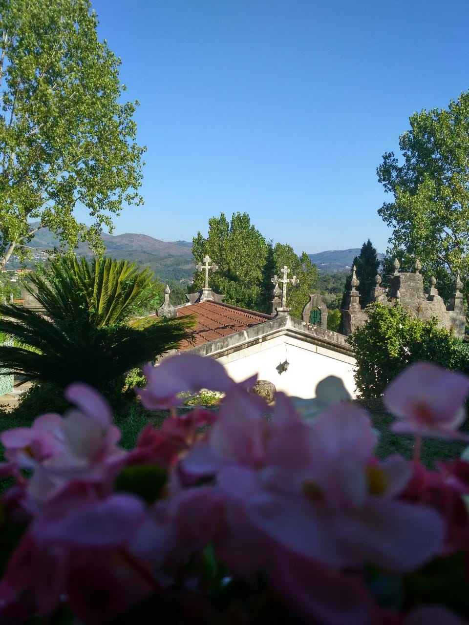Garden, Garden view