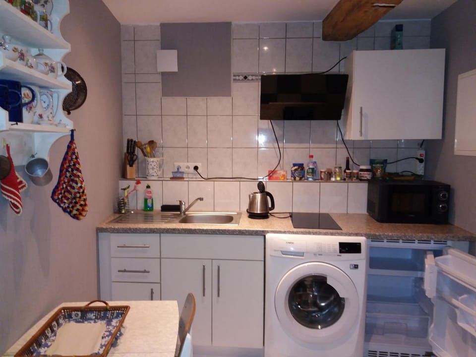 Kitchen or kitchenette, minibar, stove, washing machine