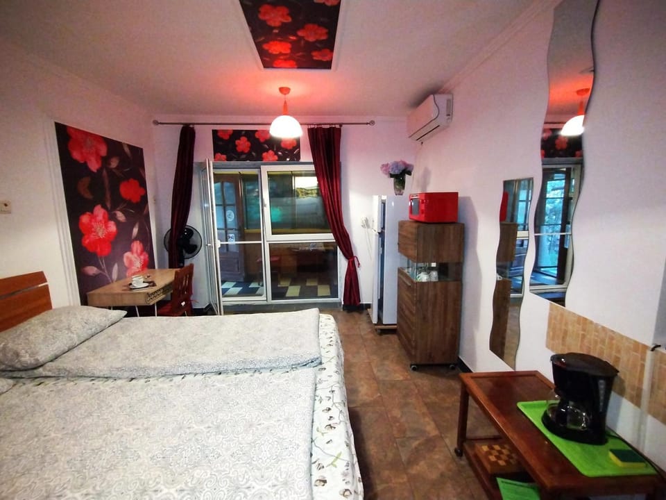 Hostel Pascalis Alesd Bed and Breakfast in Romania