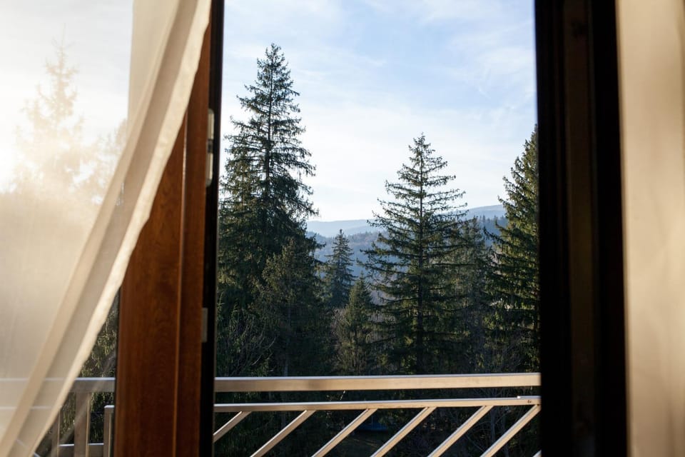 Natural landscape, View (from property/room), Balcony/Terrace, Mountain view