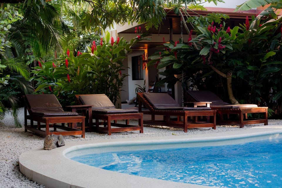 Garden view, Pool view, Swimming pool
