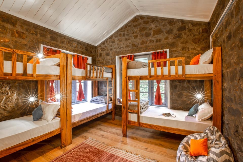 Bed, Photo of the whole room, Bedroom, bunk bed