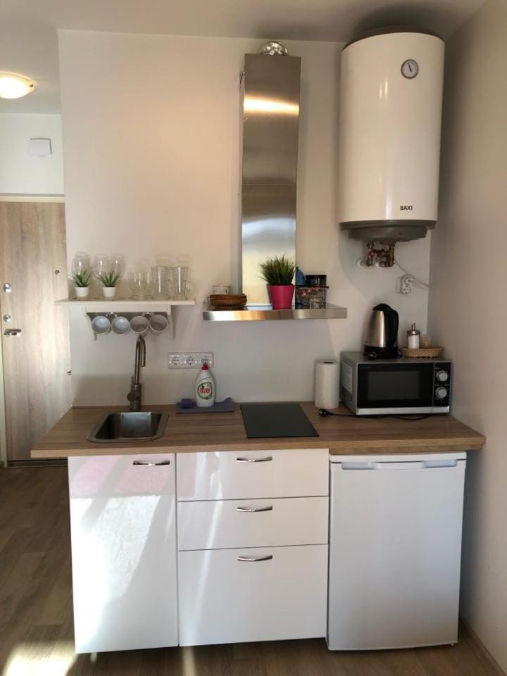 Malūnų vilos Apartment in Palanga
