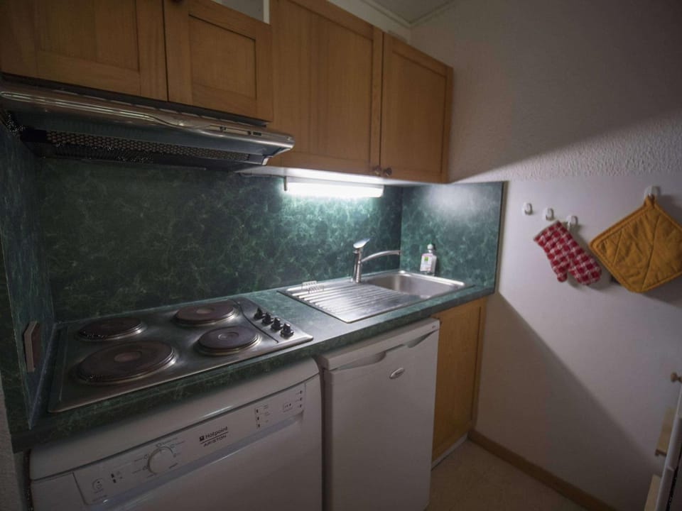 Appartement lumineux 2 pièces à Crève Coeur, proche pistes et commerces - FR-1-356-271 Apartment in Les Avanchers-Valmorel