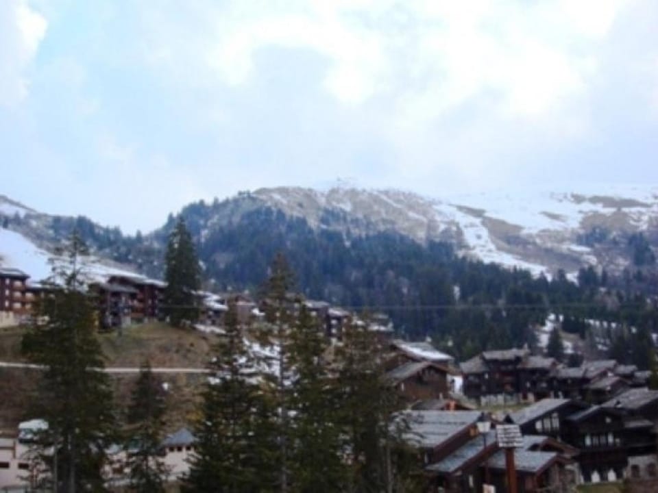 Studio cosy, animaux OK, vue sur station - FR-1-356-282 Apartment in Les Avanchers-Valmorel