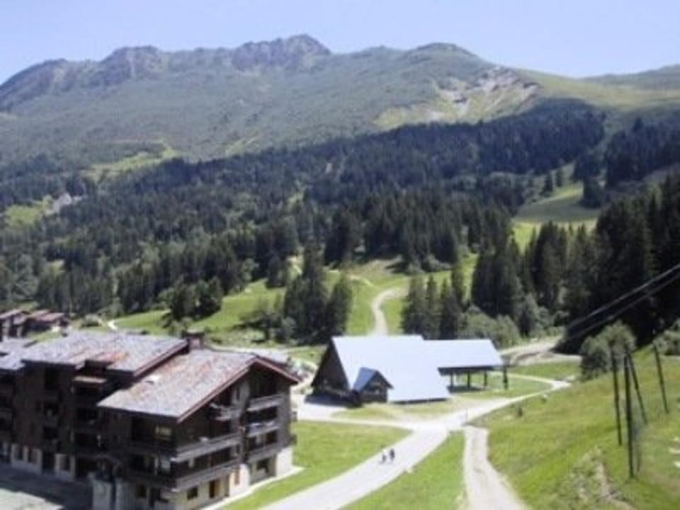 Charmant appartement 3 chambres avec balcon, proches des pistes et de l'ESF, animaux acceptés - FR-1-356-316 Apartment in Les Avanchers-Valmorel