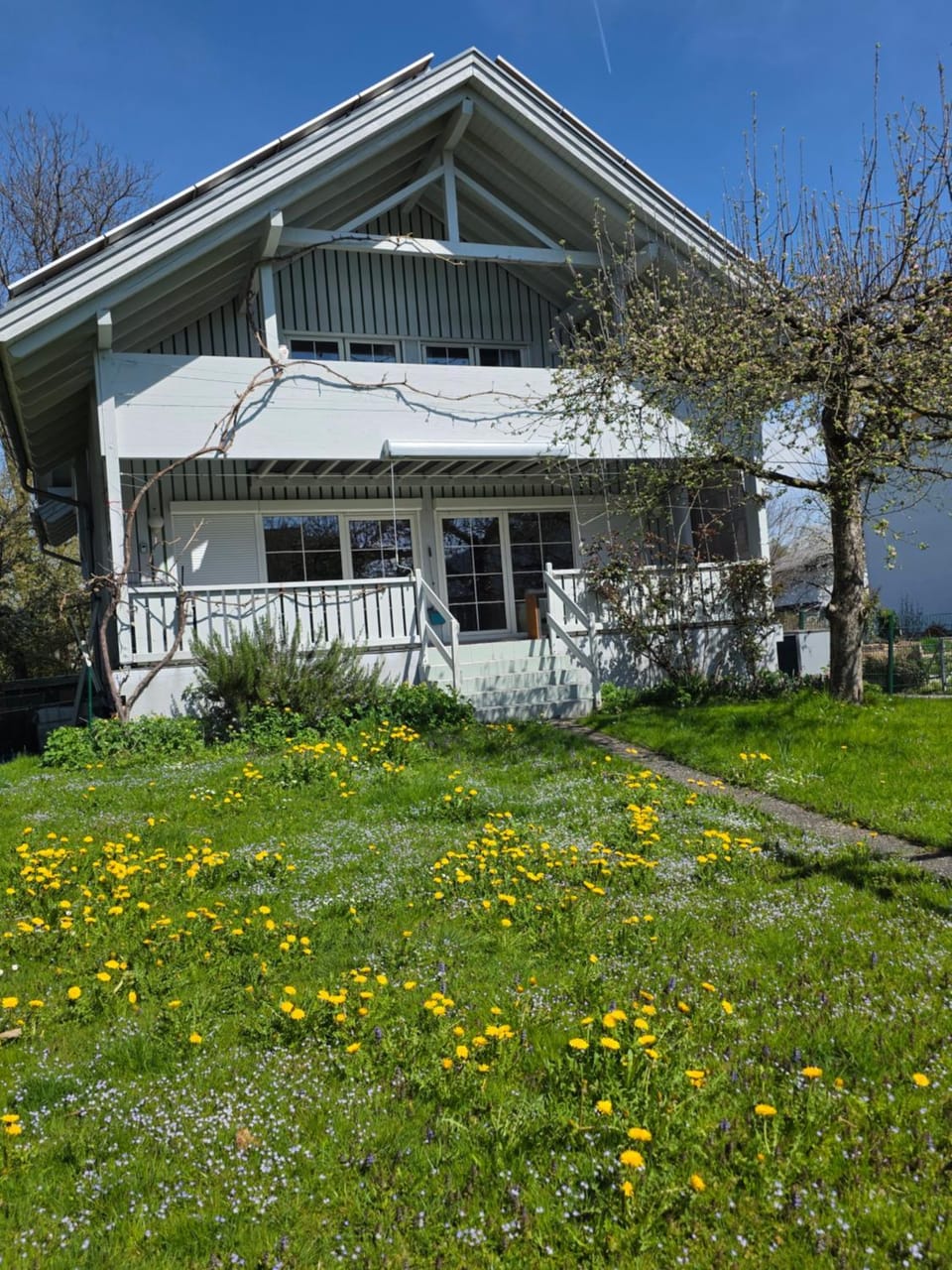 Gardenia-Altach, 2-4 P, Küche, Garten, Terrasse, Parkplatz, Wifi, Ski Stellplatz Apartment in Vorarlberg, Austria