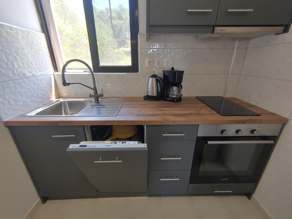 Kitchen or kitchenette, kitchen