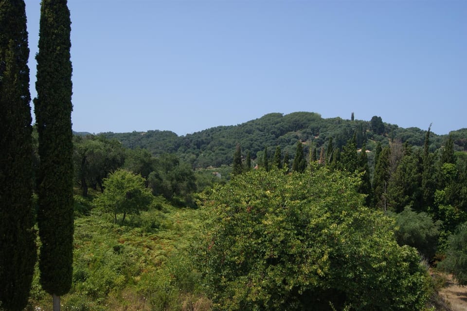 View (from property/room)