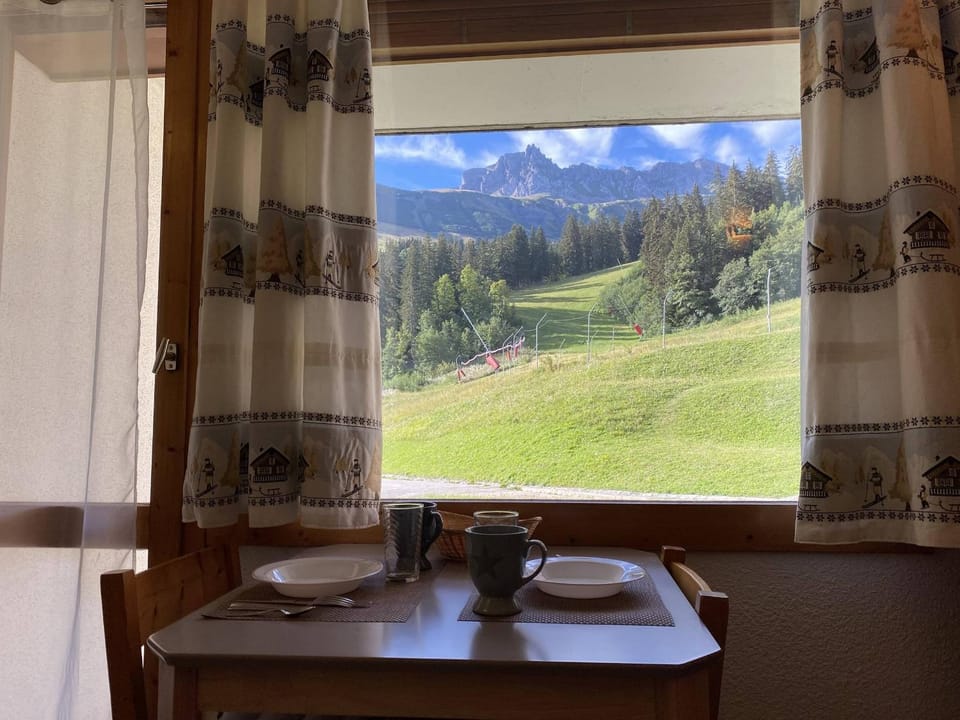 Studio cosy près des pistes à Valmorel, animaux admis - FR-1-356-349 Apartment in Les Avanchers-Valmorel