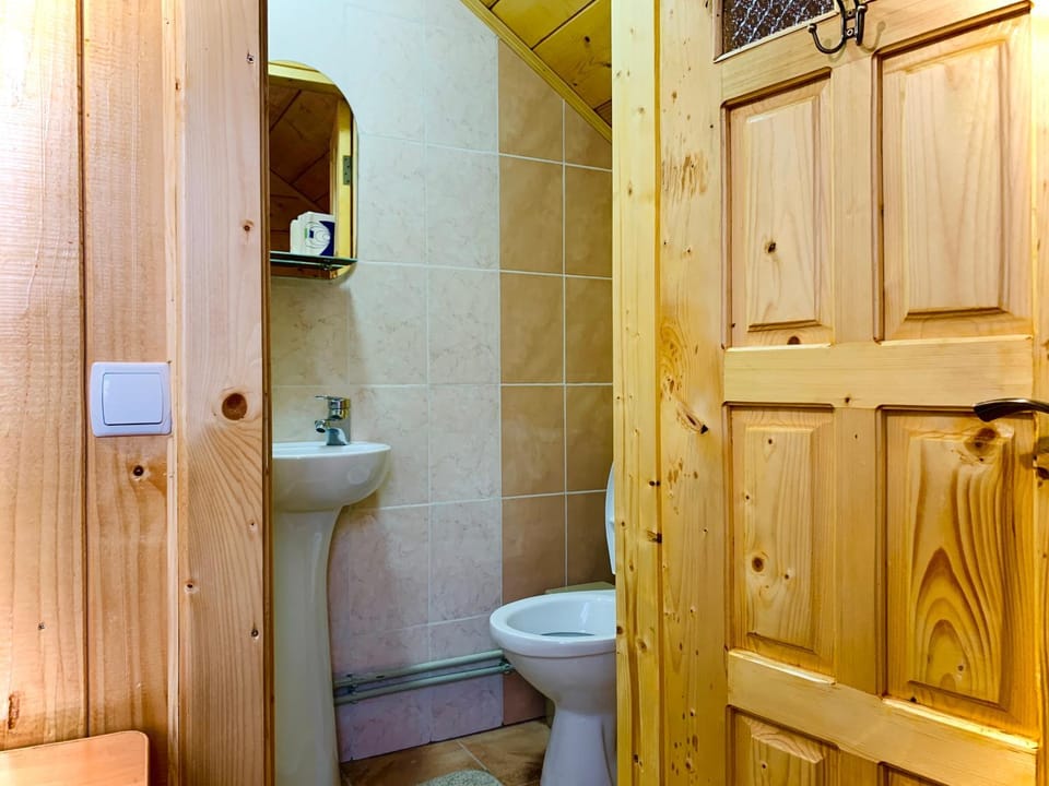 За горбами Apartment in Ukraine