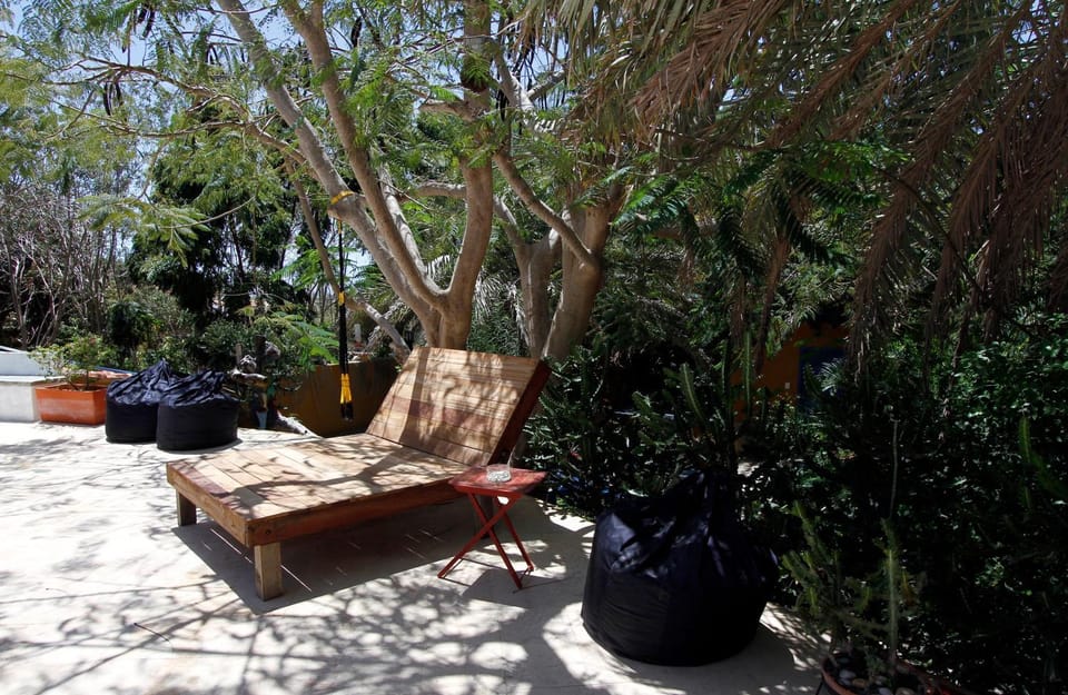 Garden view, sunbed