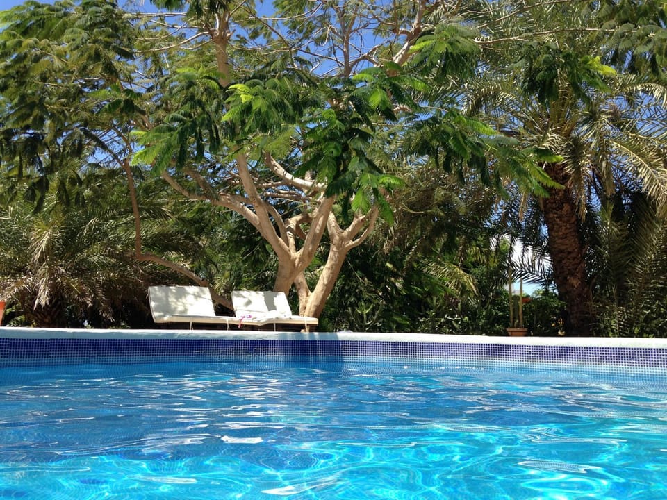 Pool view, Swimming pool