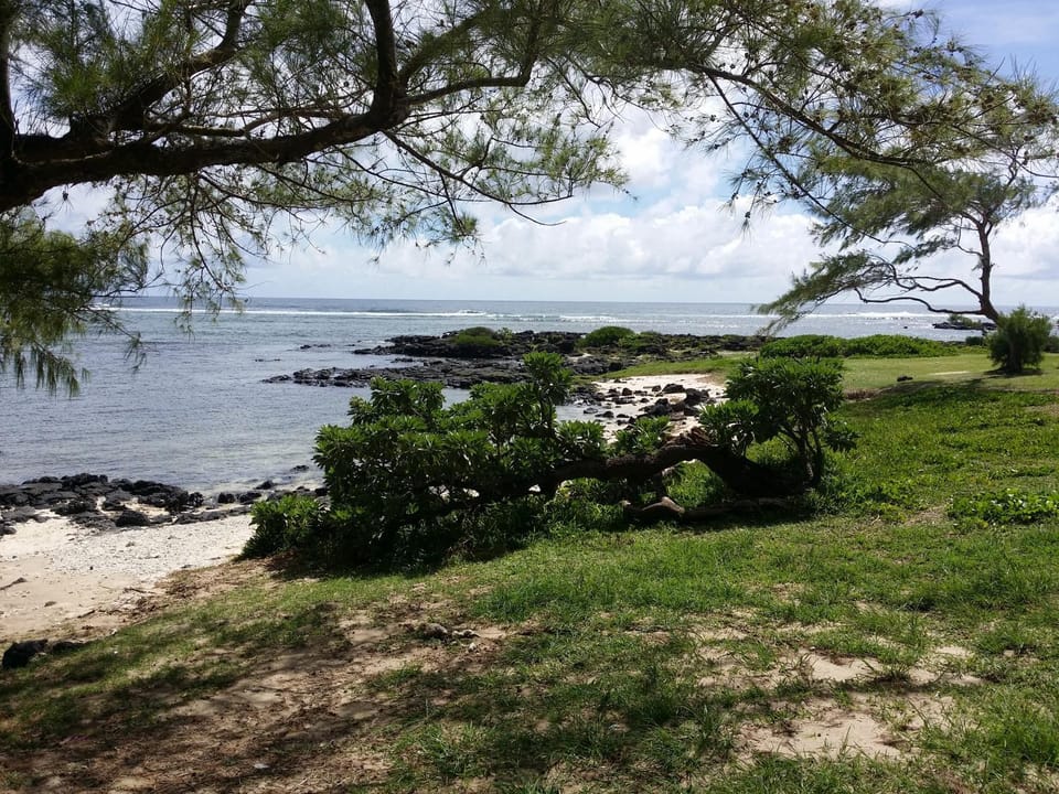 Golden Rod villa Villa in Quatre Cocos