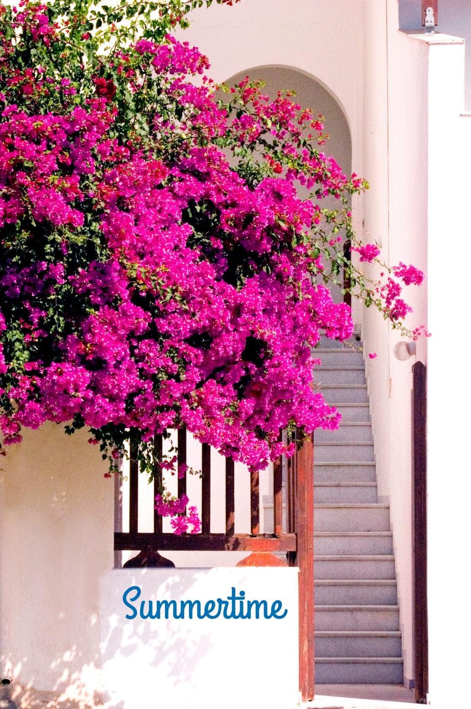 Spring, Day, Garden, Garden view