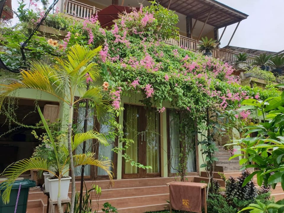 Property building, Garden view
