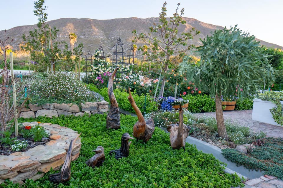 Garden, Mountain view