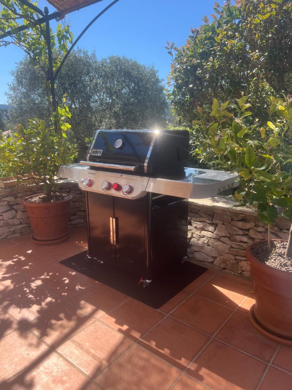 Au Petit Paradis House in Carnoux-en-Provence