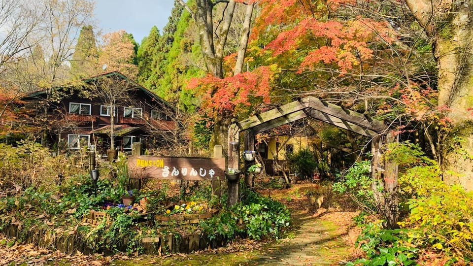 Day, Natural landscape, Garden, Autumn, Garden view
