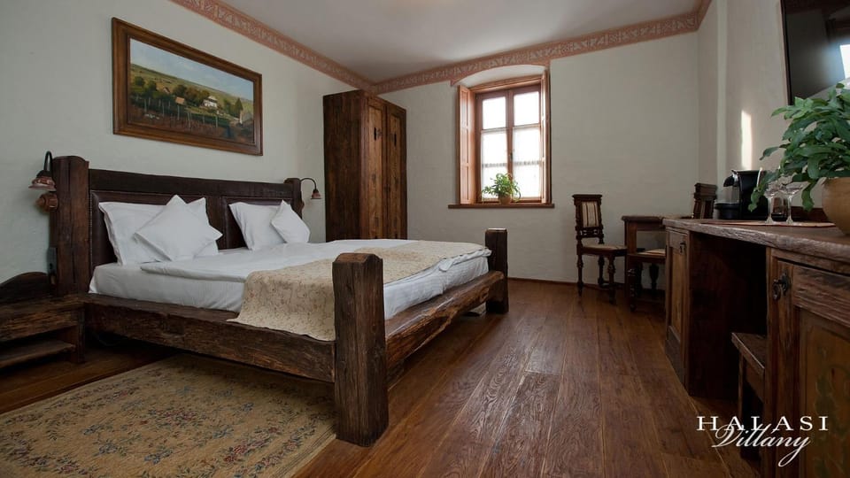 Halasi Pince Panzió Bed and Breakfast in Hungary