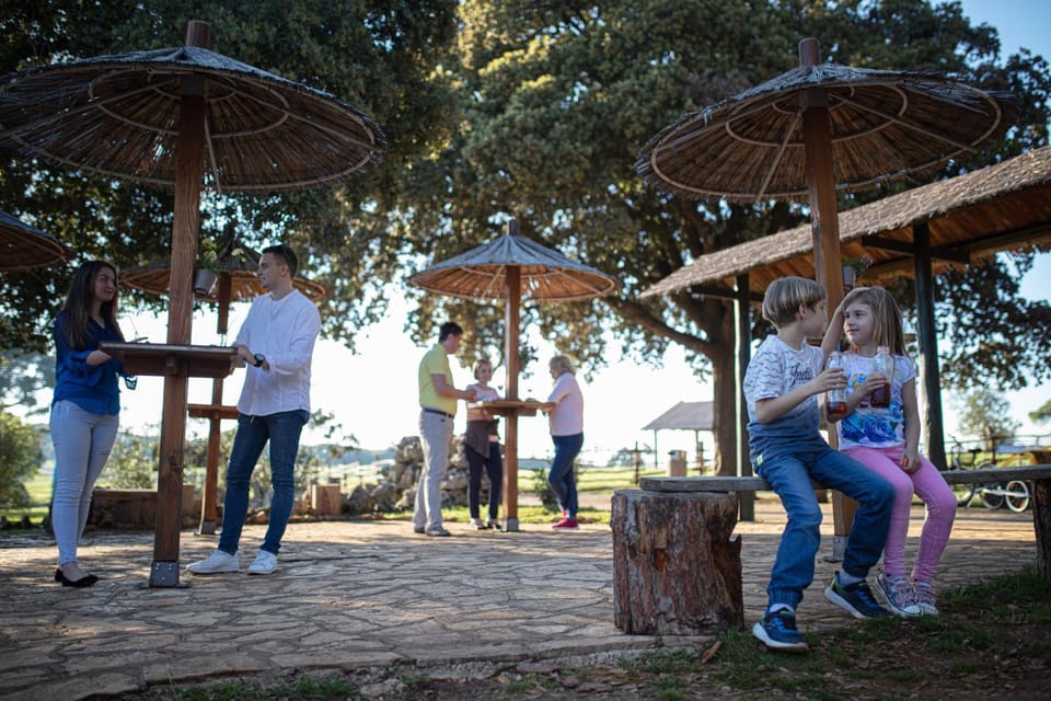 Other, Alcoholic drinks, Non alcoholic drinks