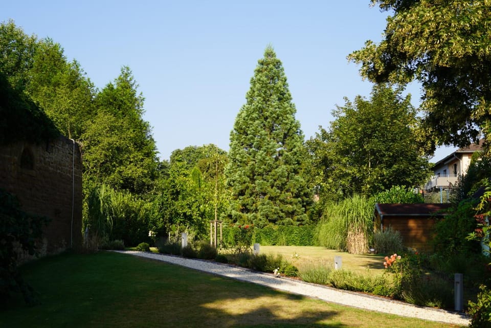 Property building, Garden view