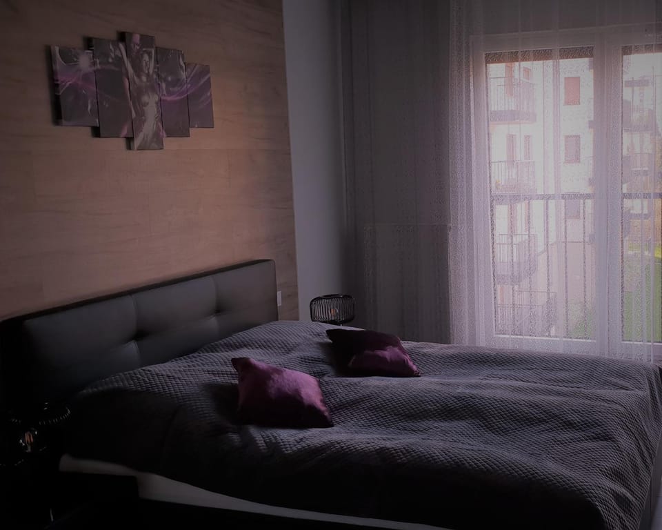 Apartament New York Różana 19 Apartment in Poznan