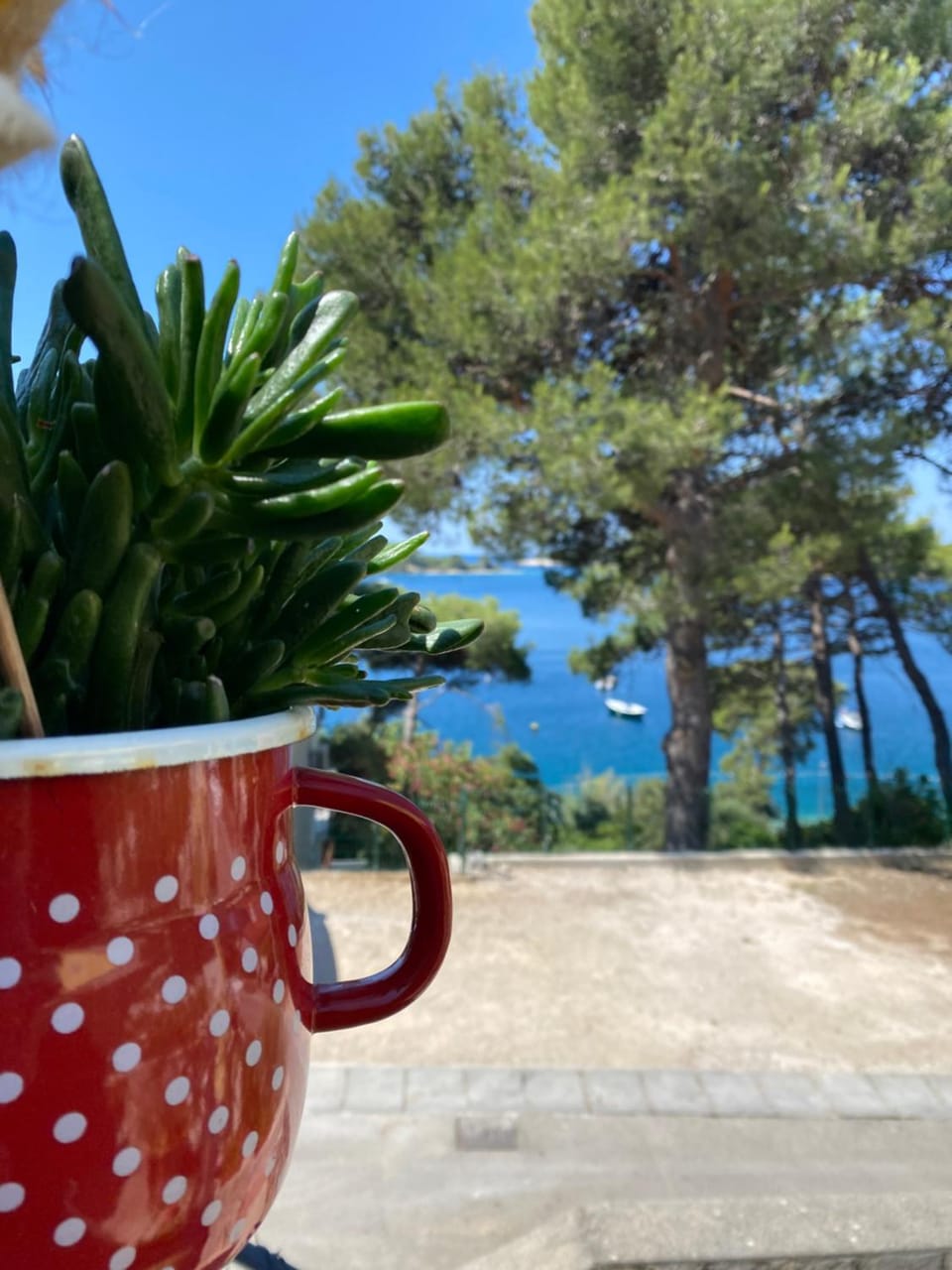 Sea view