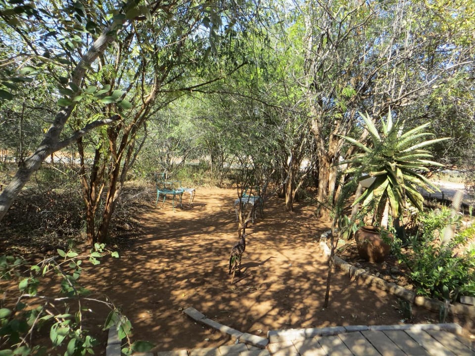 Garden view