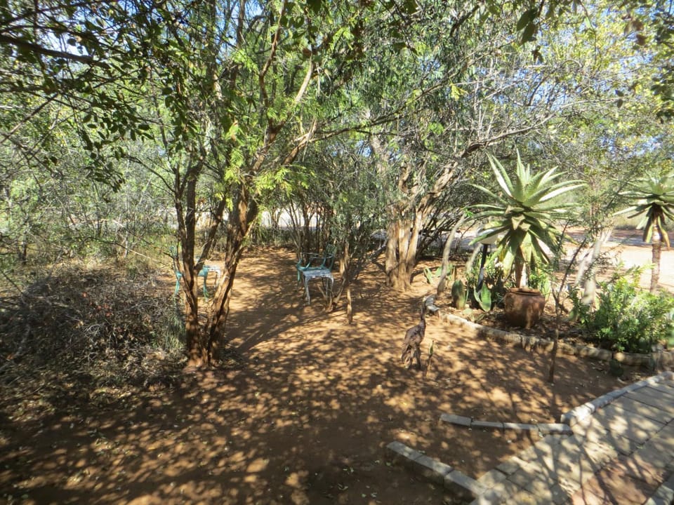 Garden view