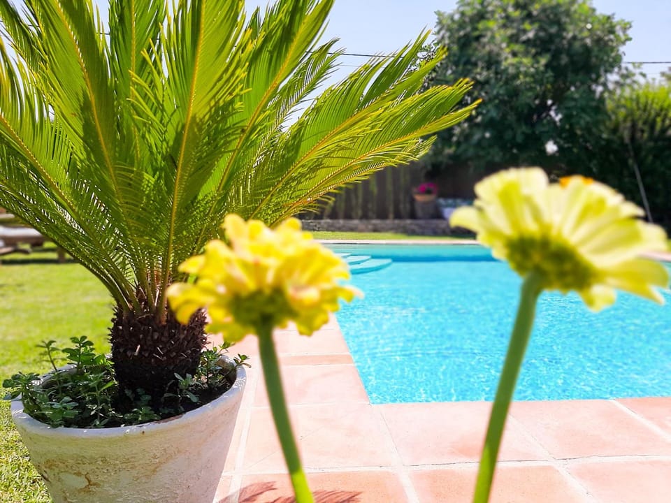 Off site, Garden, Garden view, Swimming pool