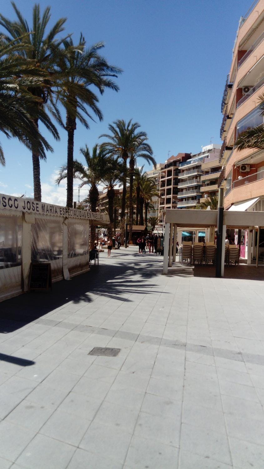 APARTAMENTO NAVIGANTES 5 Apartment in Torrevieja