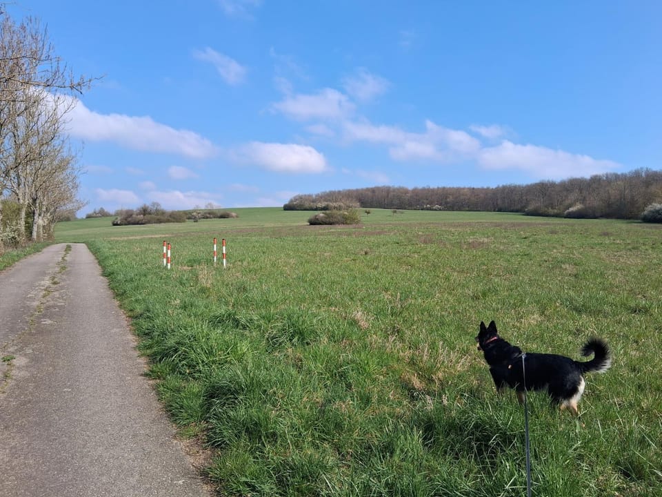 Ferienwohnung Kany Apartment in Saarland, 66, Germany