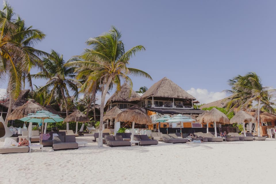 Property building, Natural landscape, Beach