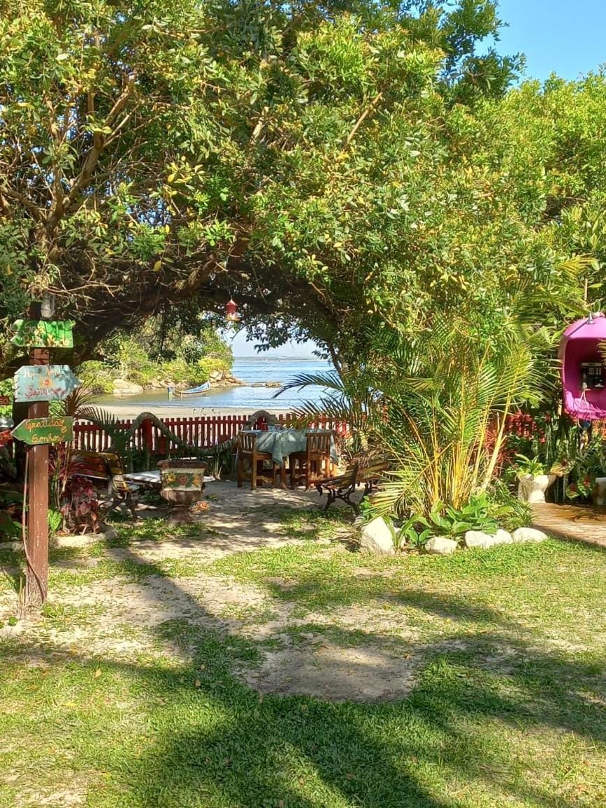 Natural landscape, Garden, Garden view