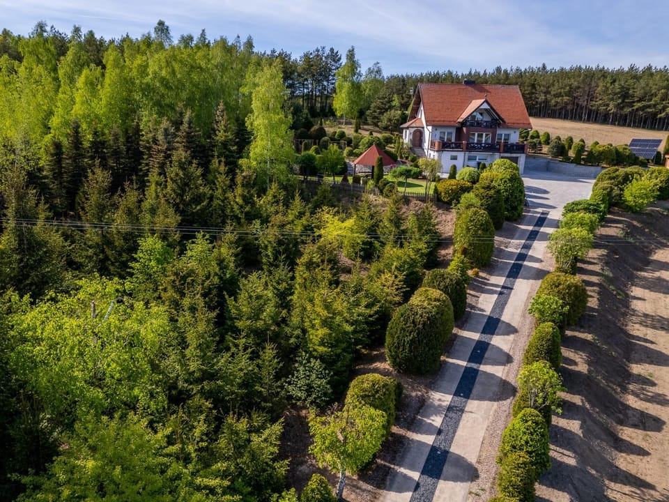 Neighbourhood, Bird's eye view