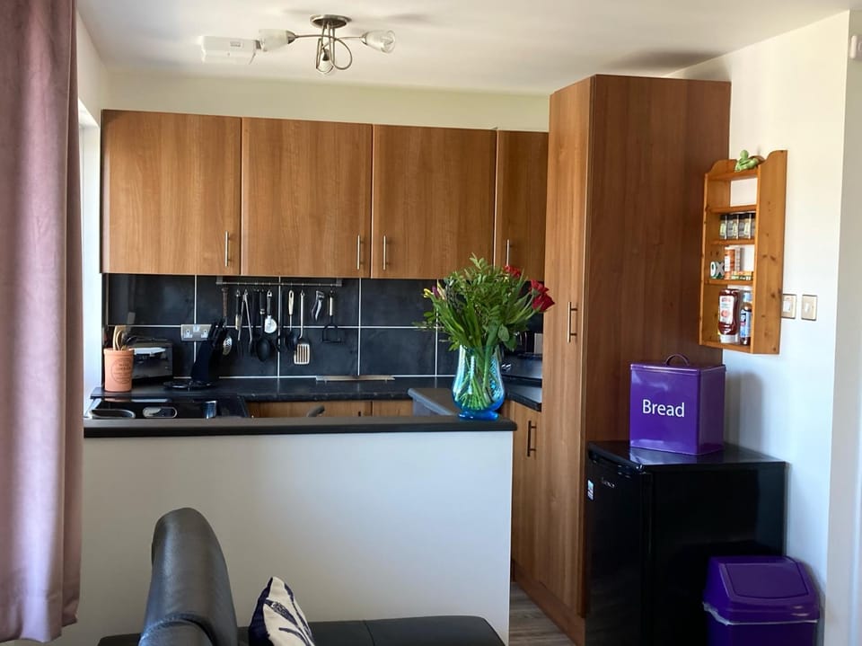 The Snug Ilfracombe Apartment in Ilfracombe