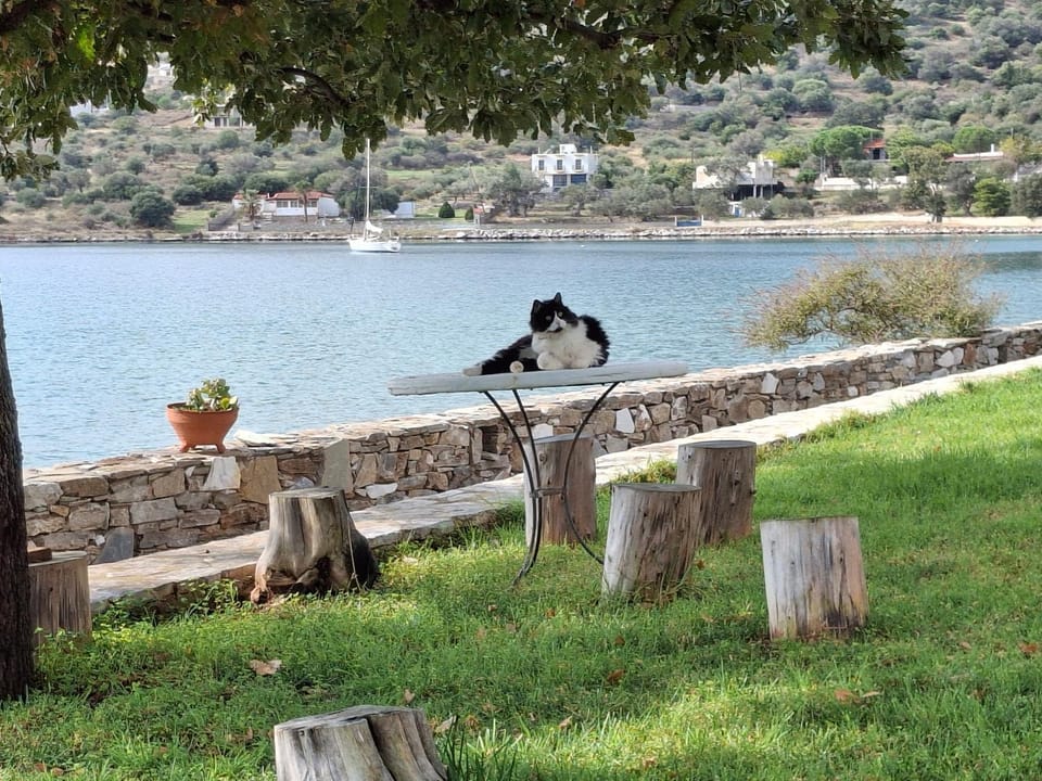 blueline guesthouse Apartment in Euboea