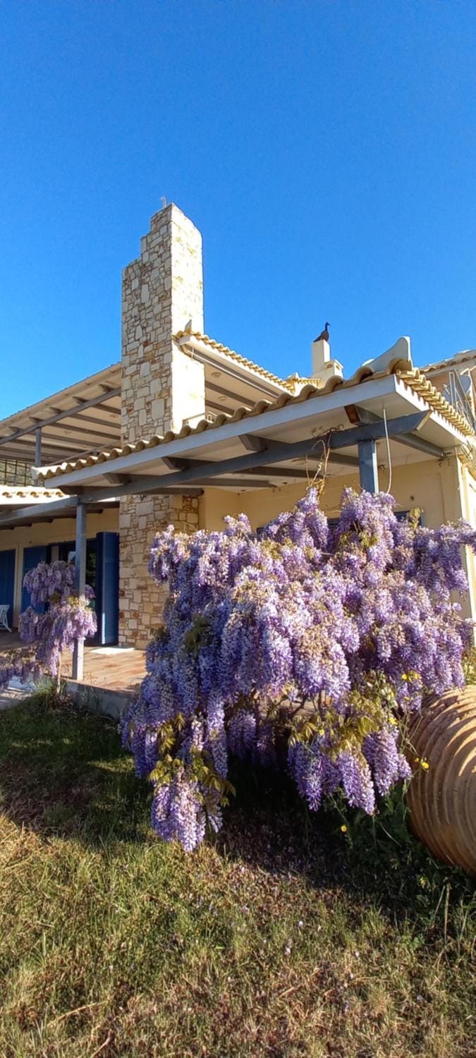 blueline guesthouse Apartment in Euboea