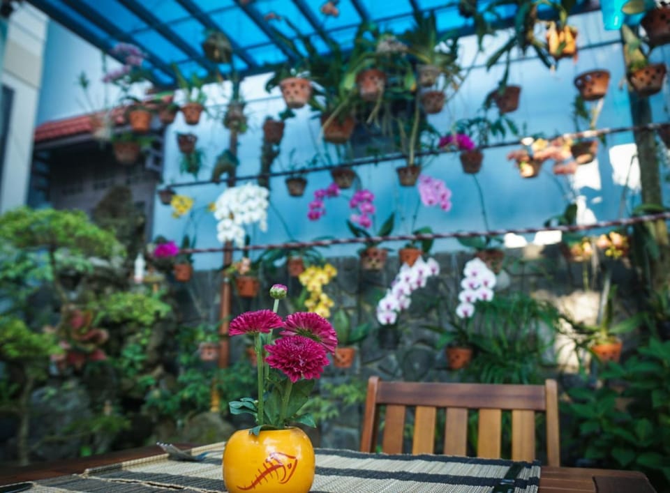 Garden view
