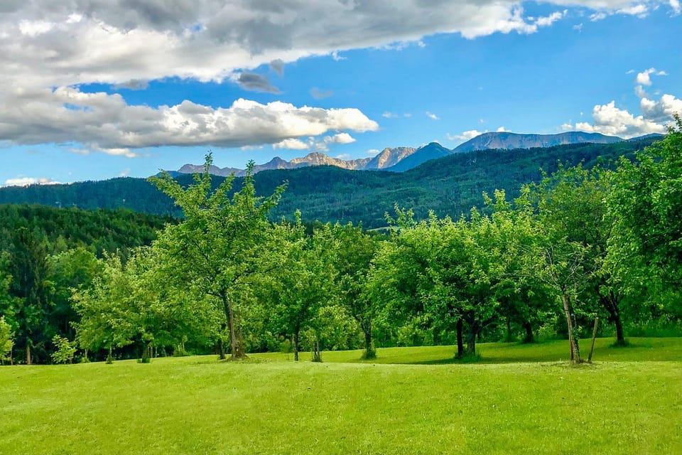 View (from property/room), View (from property/room), Mountain view
