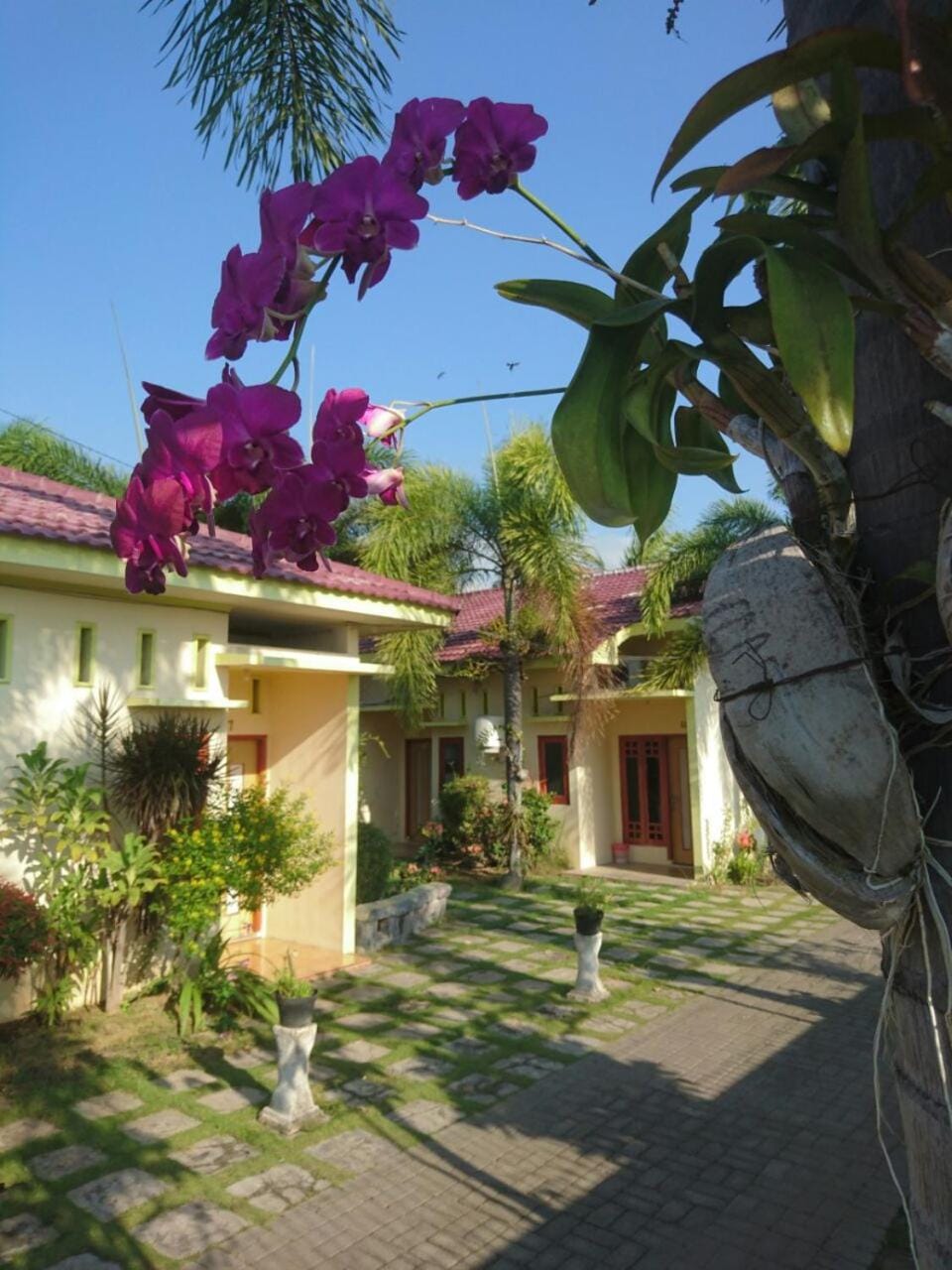 Property building, Garden view